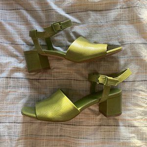 Everlane Block Heel in Moss Lizard Green